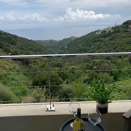 T1 Hauteurs De Bastia Vue Unique Sur La Mer